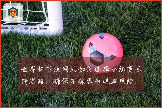 世界杯下注网站如何选择小组赛竞猜思路，确保不踩雷和规避风险