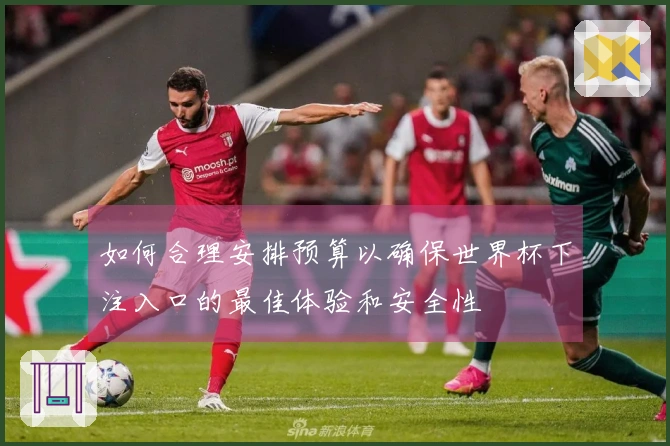 如何合理安排预算以确保世界杯下注入口的最佳体验和安全性