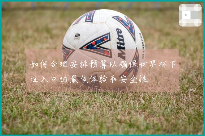 如何合理安排预算以确保世界杯下注入口的最佳体验和安全性