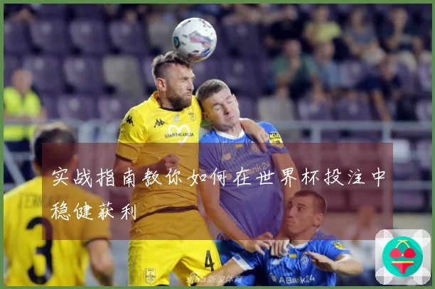 实战指南教你如何在世界杯投注中稳健获利
