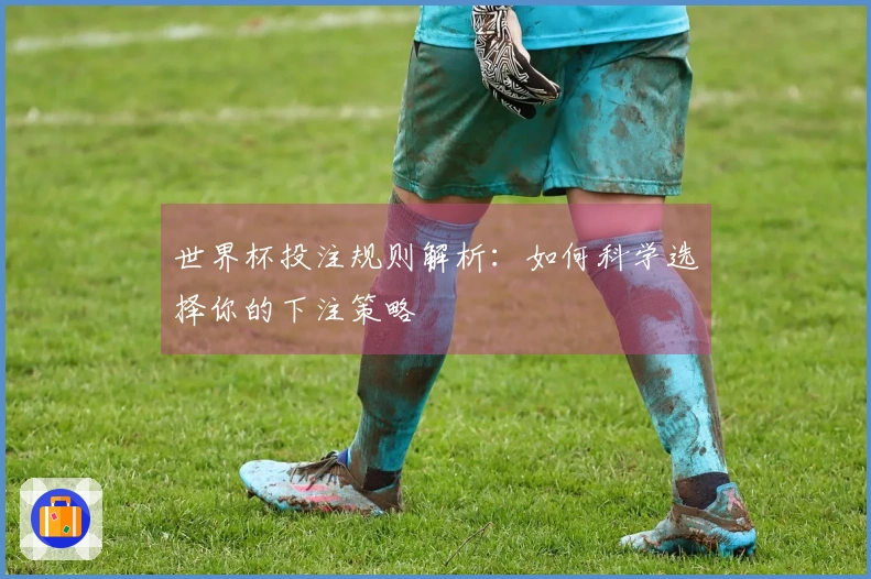 世界杯投注规则解析：如何科学选择你的下注策略