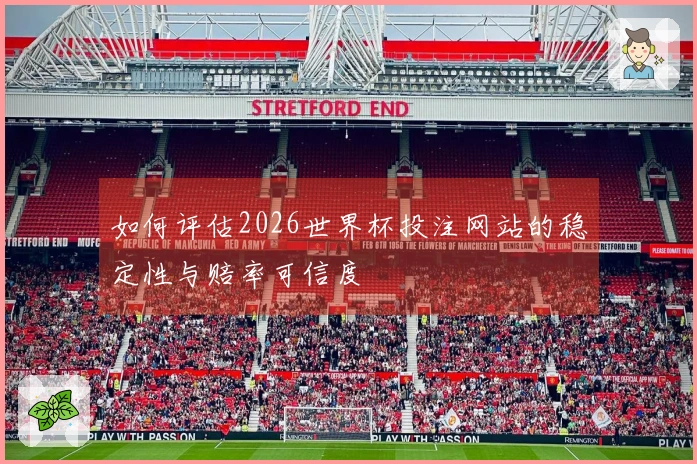 如何评估2026世界杯投注网站的稳定性与赔率可信度