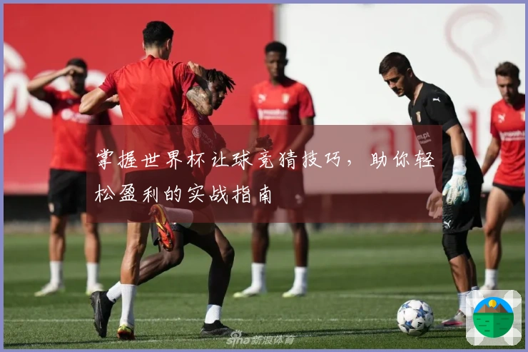 掌握世界杯让球竞猜技巧，助你轻松盈利的实战指南